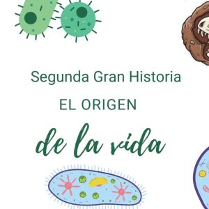Segunda Gran Historia Montessori