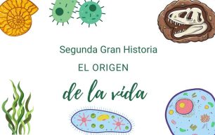 La segunda Gran Historia Montessori: El origen de la Vida