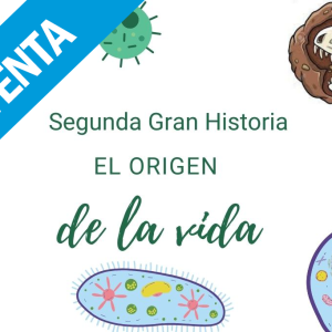 Segunda-Gran-Historia-Montessori PREVENTA